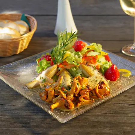 Blasiwirt בית הארחה